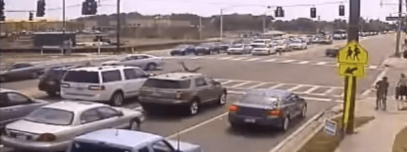 Clearwater Motorcycle Accident Victim Viral Video Represented by Attorney Jeremy Clark